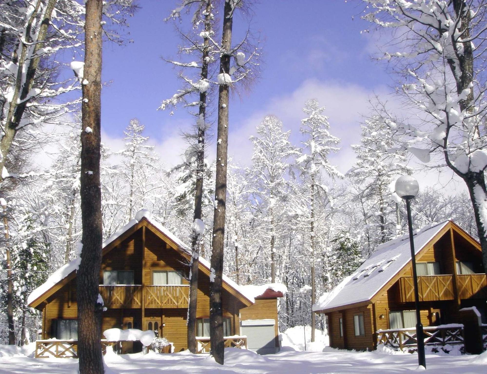 Log Cottage Epoch Hakuba Esterno foto